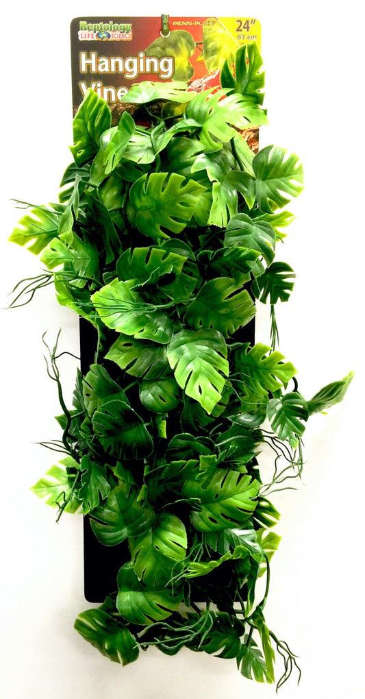 Green, 1ea/24 in