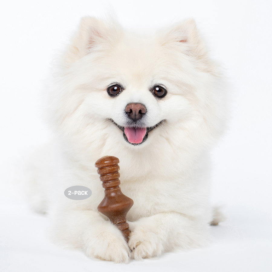 Maple & Bacon, 1ea/XS, 2 pk