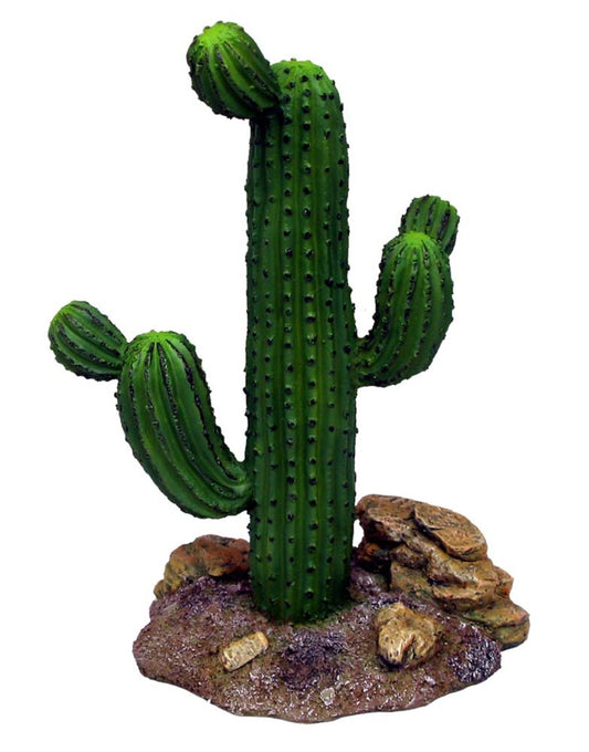 Brown, Green, 1ea/9 in, Tall