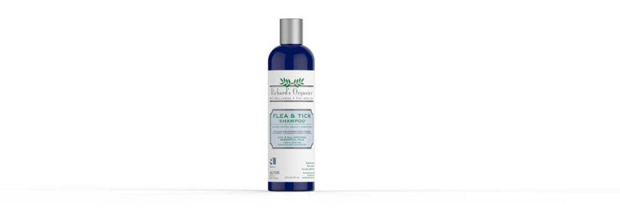 1ea/12 fl oz
