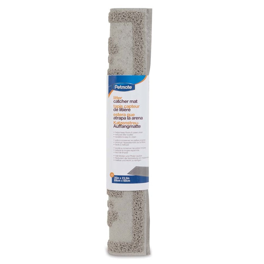 Pumice Stone, 1ea/LG