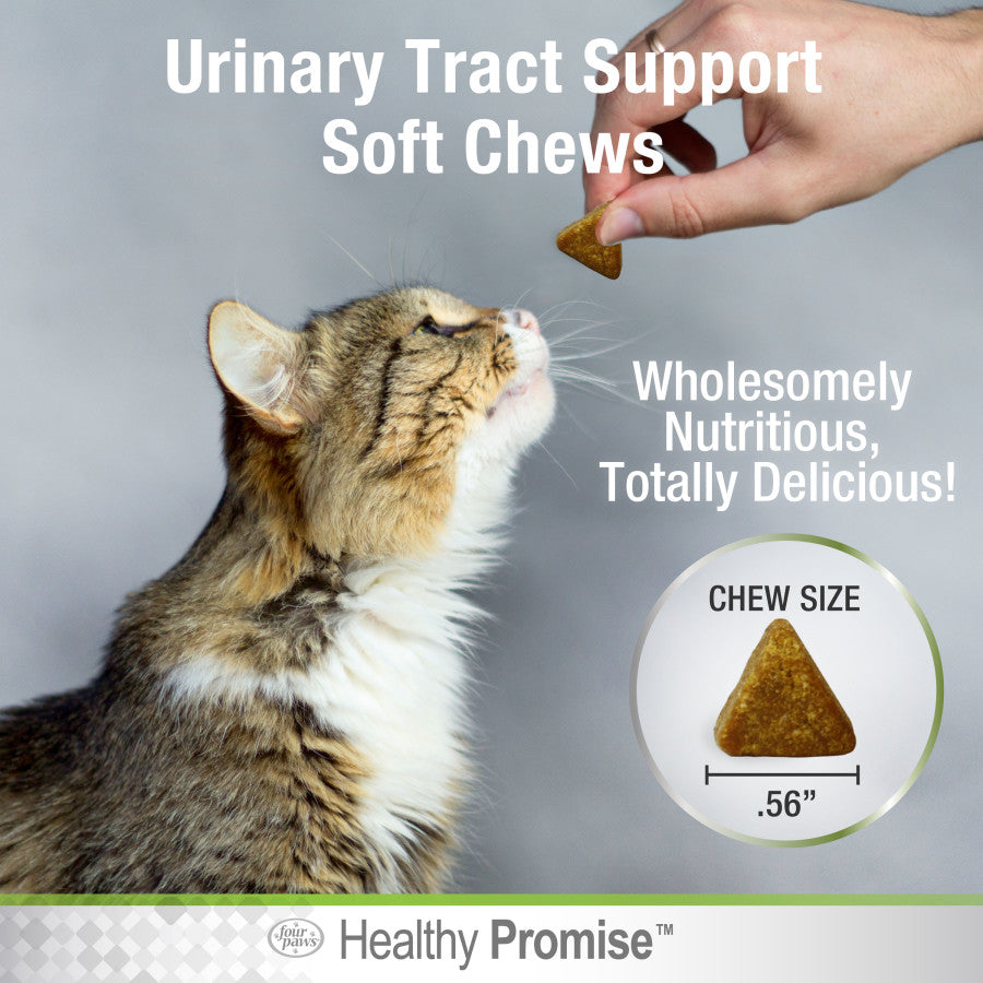 Urinary Tract, 1ea/110 ct