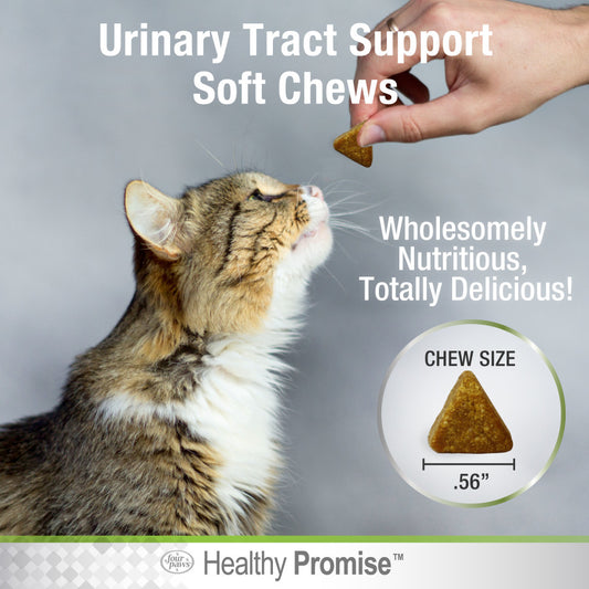 Urinary Tract, 1ea/110 ct