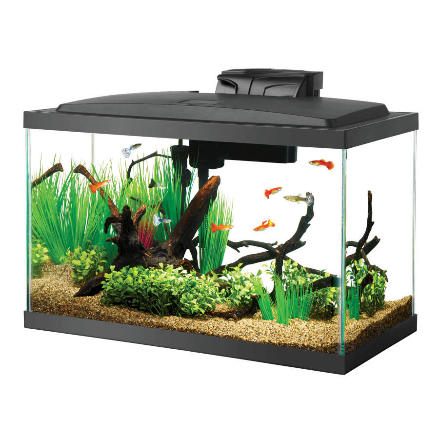 Clear Silicone, Black, 1ea/10 gal