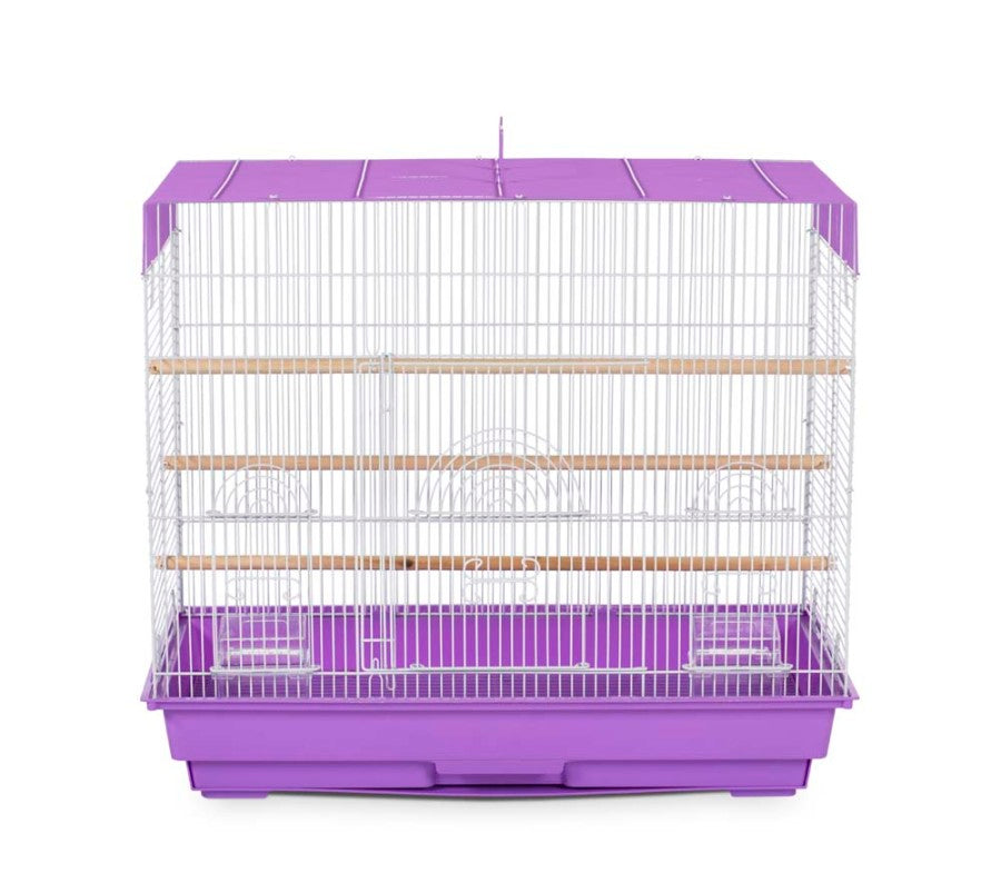 Black/Sage Green, White/Lilac, 2ea/2 pk
