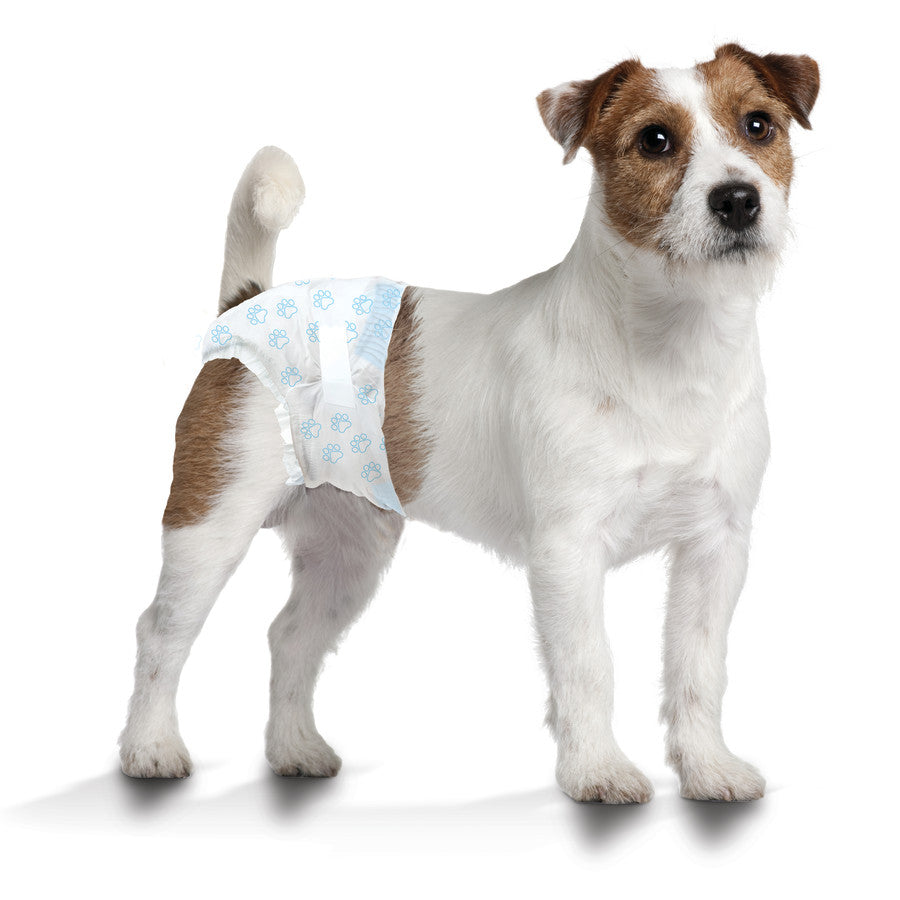 Diaper, 1ea/SMall (12 ct)