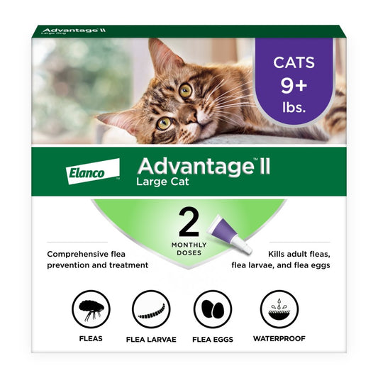 2-Month Supply, 1ea/LG Cats (Over 9Lbs)
