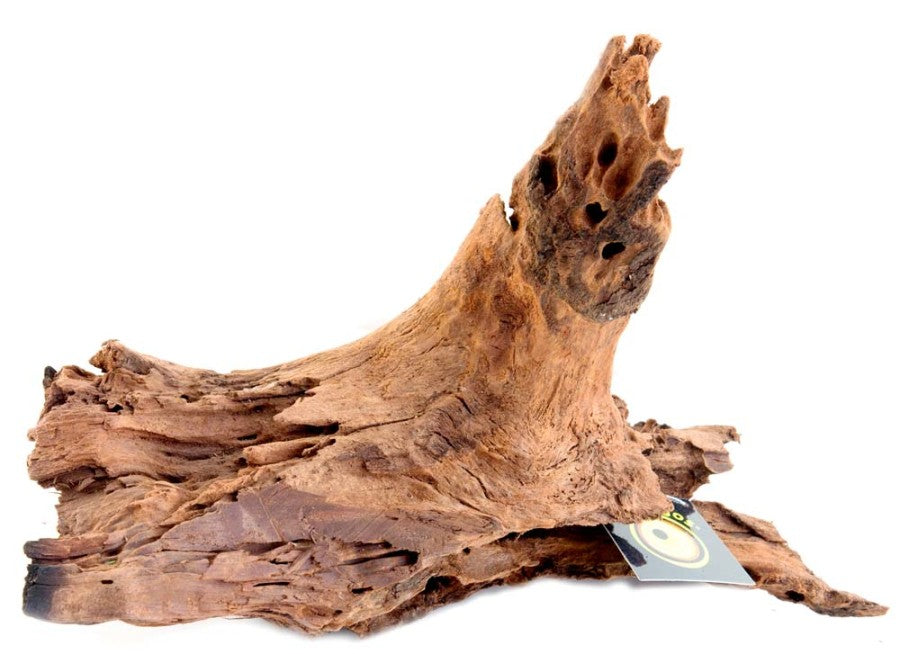 Brown, 1ea/3-6 in, XS