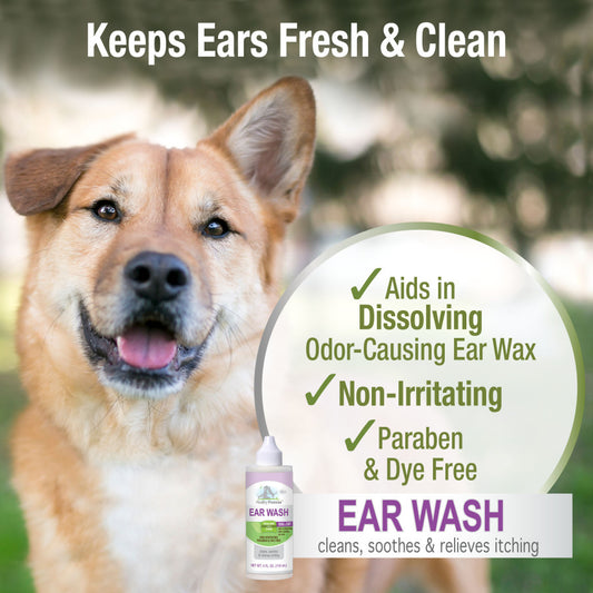Ear Wash, 1ea/4 oz