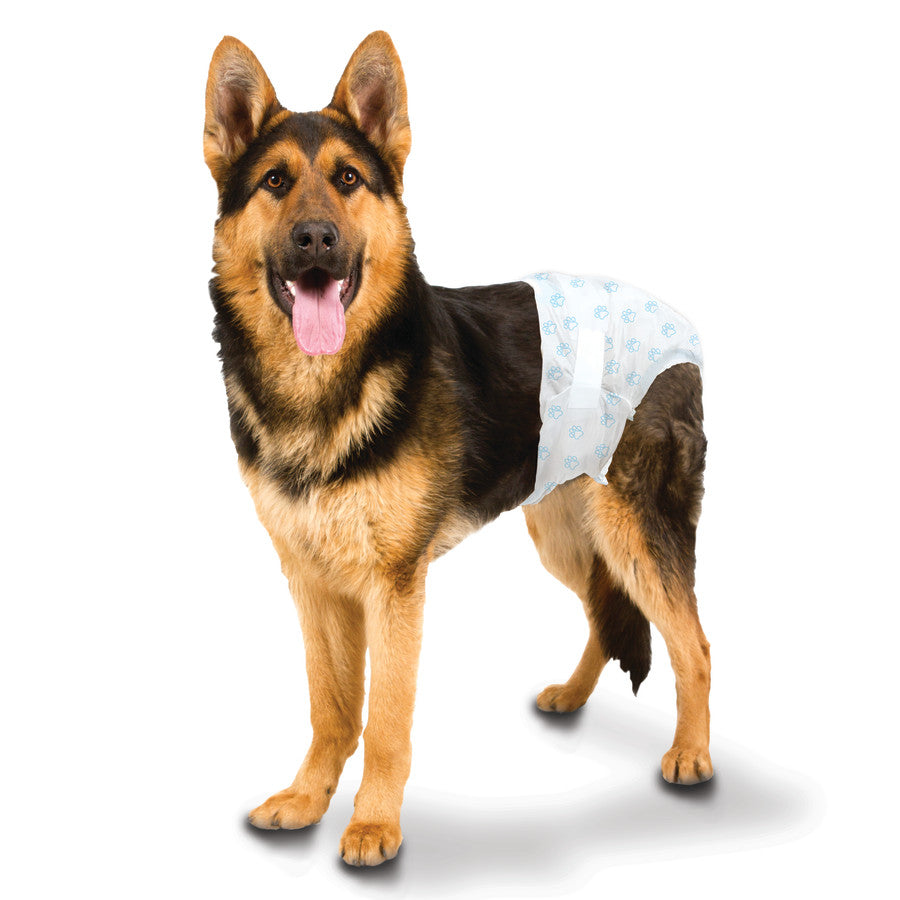 Diaper, 1ea/Large / XL (12 ct)