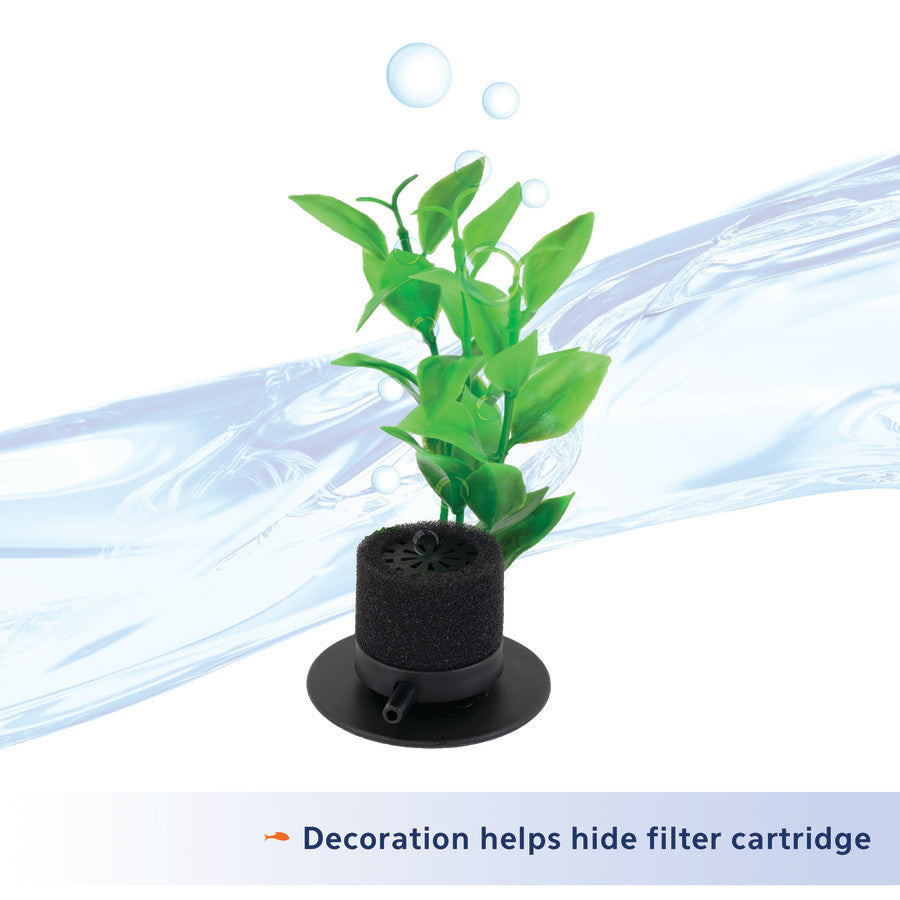 Natural Plant, 1ea/One Size