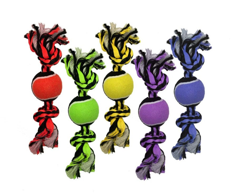 Assorted, 1ea/10 in