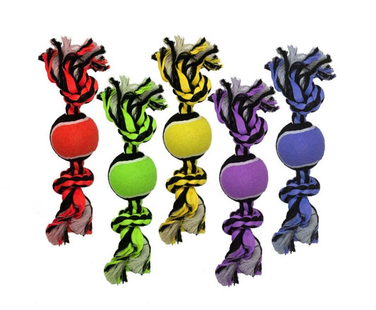Assorted, 1ea/10 in