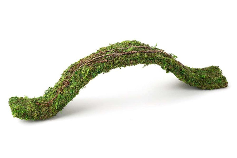 Fresh Green, 1ea/2 ft