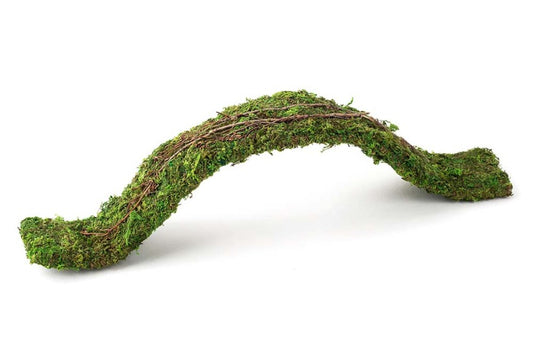 Fresh Green, 1ea/2 ft