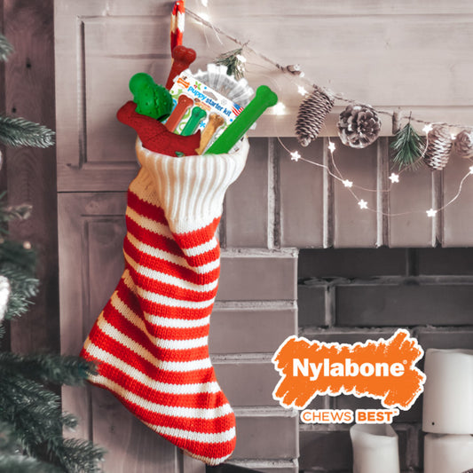 Holiday Bones, Chicken, Bacon & Sweet Potato, and Prime Rib, 1ea/SMall/Regular (3 ct)
