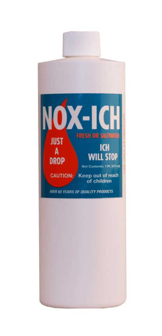 1ea/16 fl oz