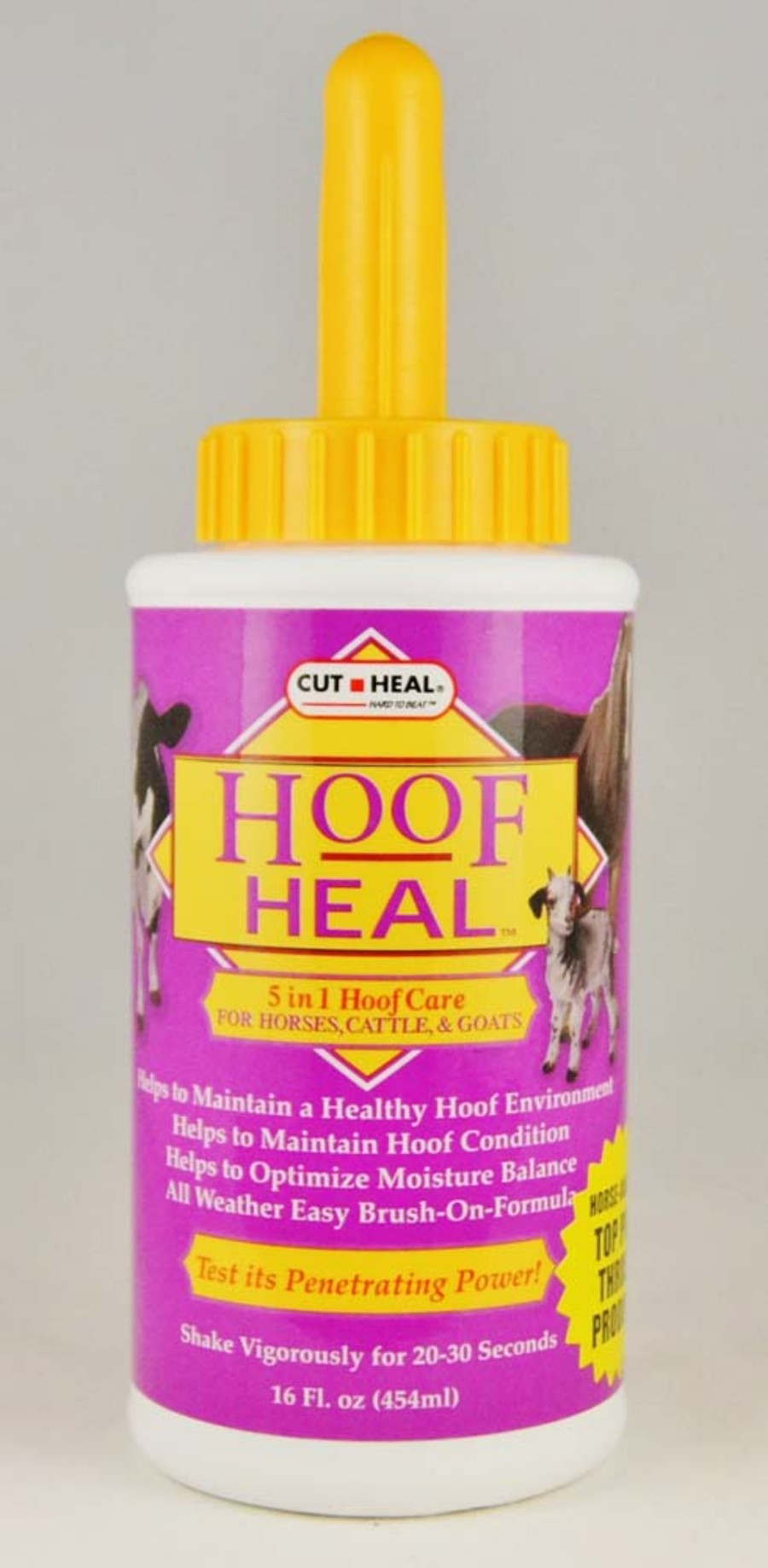 1ea/16 fl oz