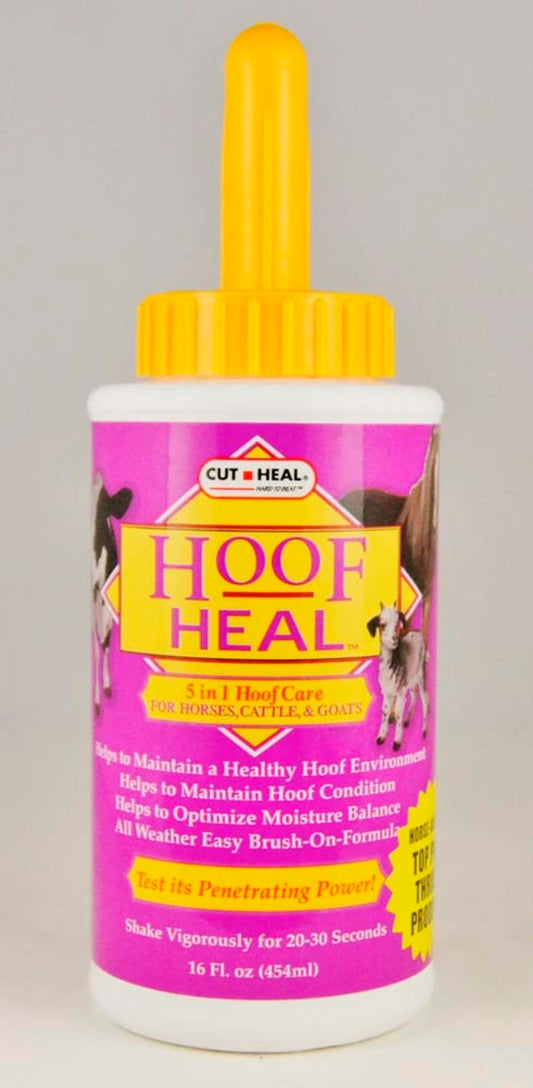 1ea/16 fl oz