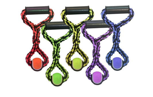 Assorted, 1ea/20 in, LG