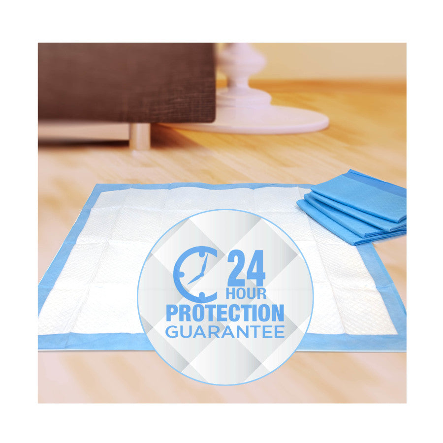 Standard, 1ea/10 ct