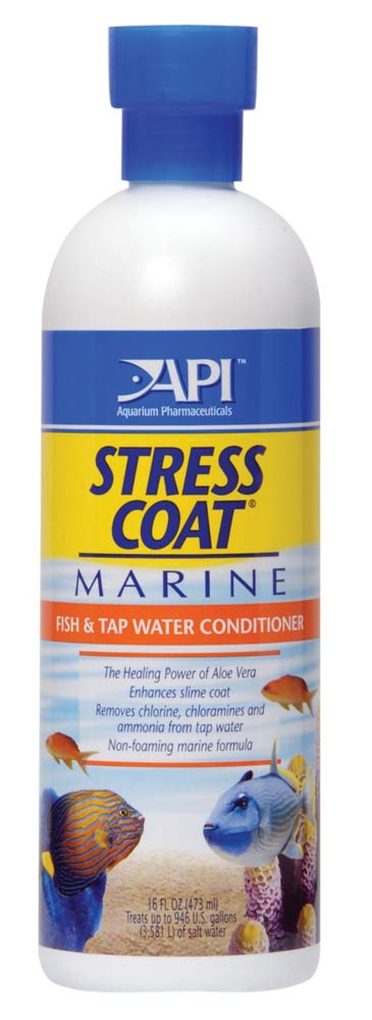 1ea/16 fl oz