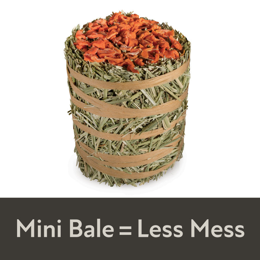 1ea/3.5 oz