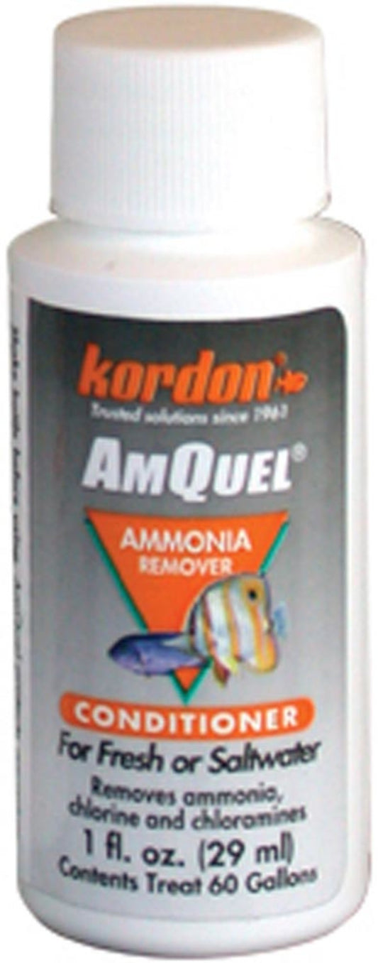 1ea/1 fl oz