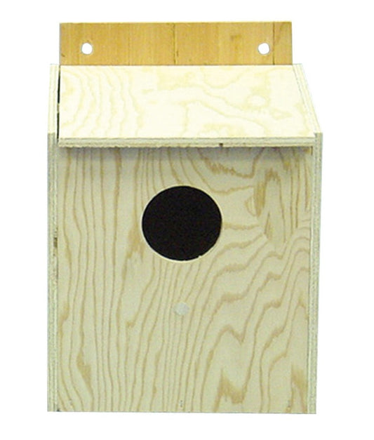 Wood Grain, 1ea