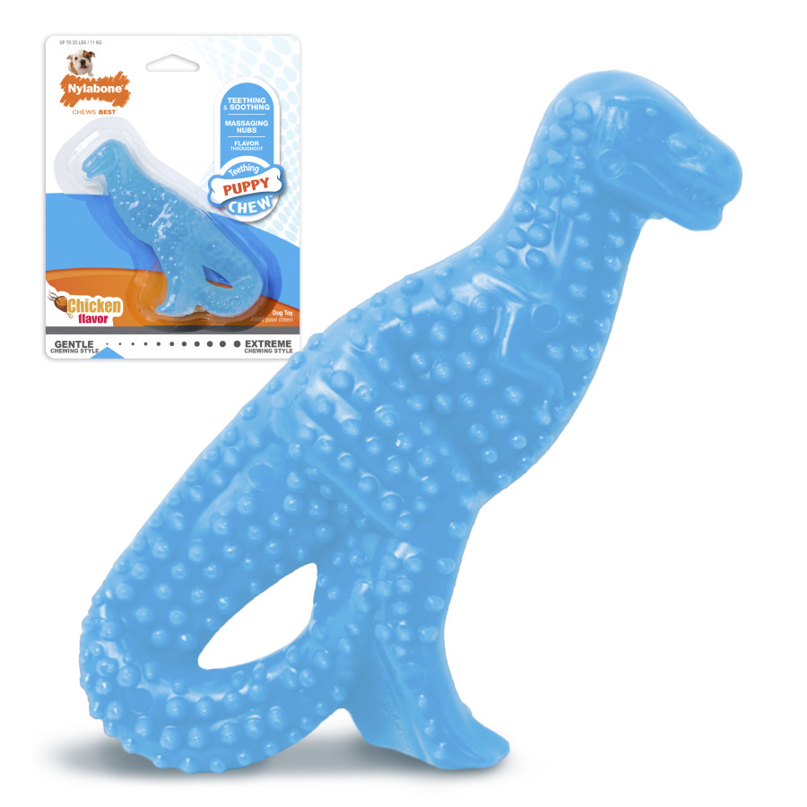 Dinosaur, 1ea/SMall/Regular (1 ct)