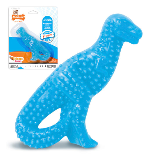 Dinosaur, 1ea/SMall/Regular (1 ct)