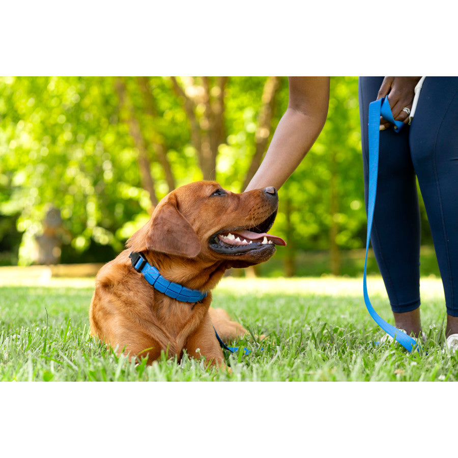 3/4in wide, Royal Blue, 1ea/MD