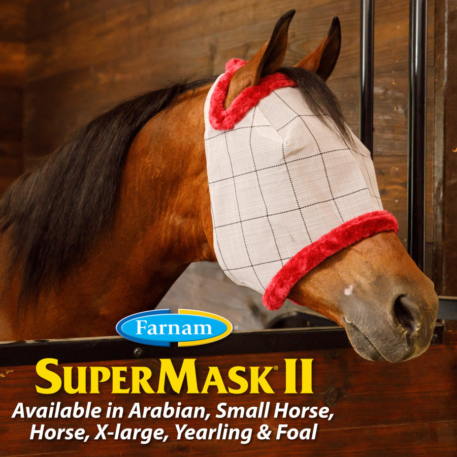 Without Ears, Assorted Colors, 1ea/Foal