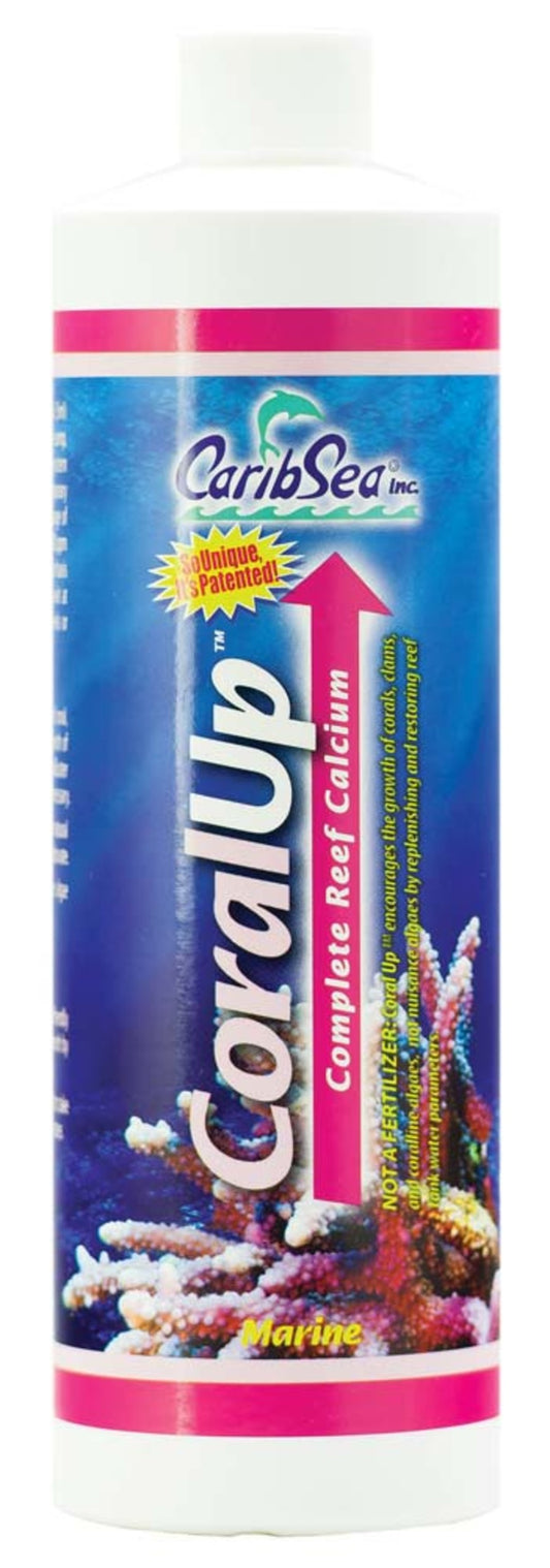 1ea/16 fl oz