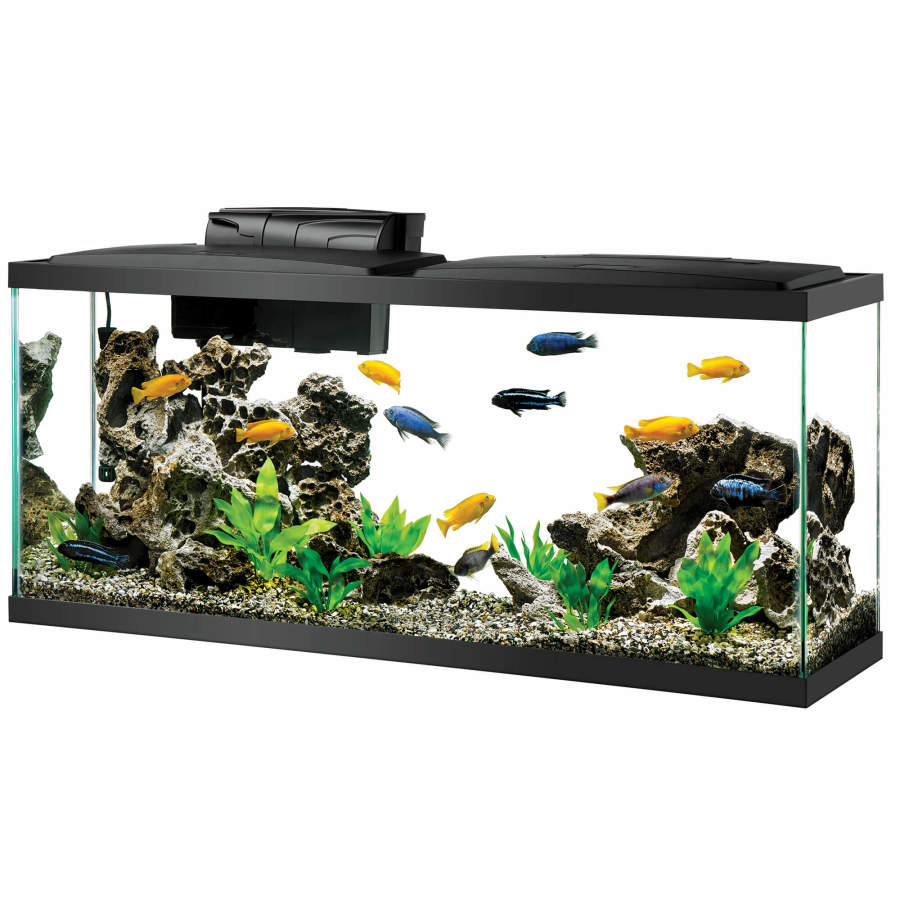 Clear Silicone, Black, 1ea/55 gal