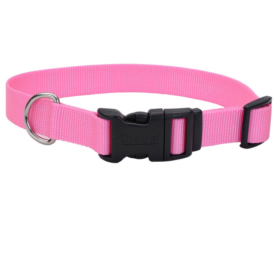 Bright Pink, 1ea/1 In X 18-26 in