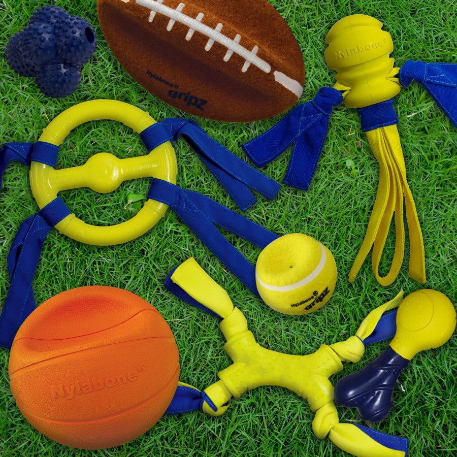 Football, 1ea/Large 8.5 in (1 ct)