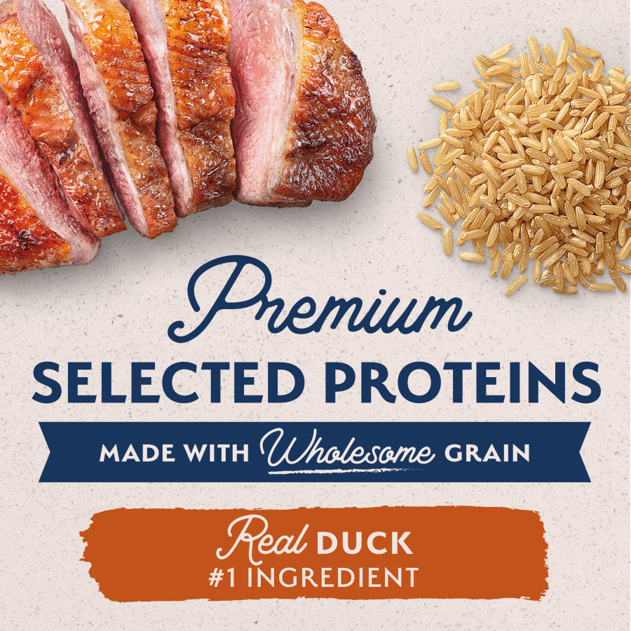 Duck & Brown Rice, 12ea/13 oz