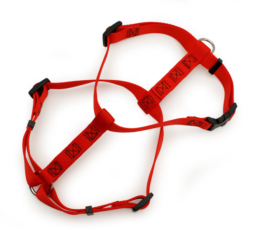 Red, 1ea/XL, 1In X 28-36 in