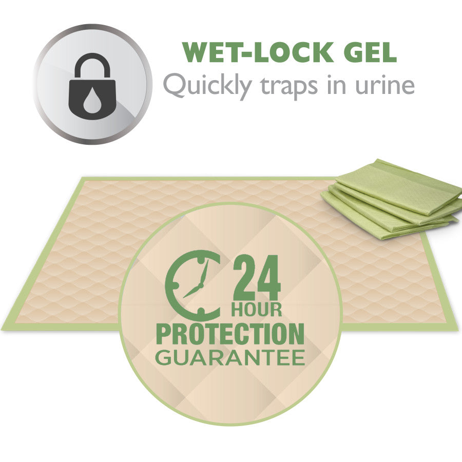 Eco-Friendly, 1ea/50 ct