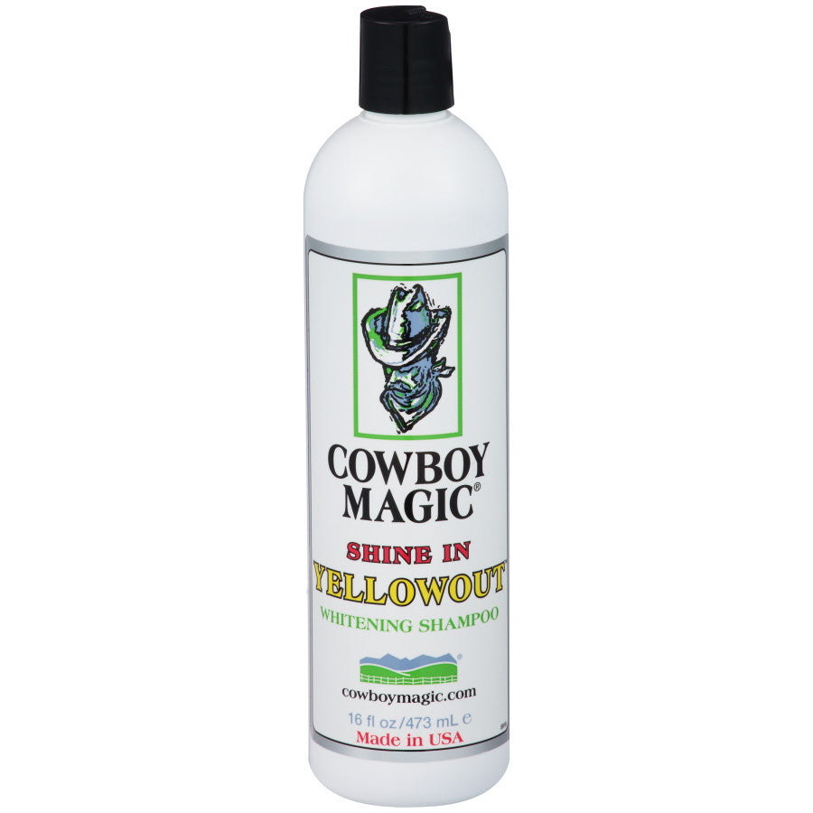 1ea/16 fl oz
