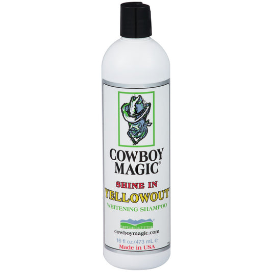 1ea/16 fl oz