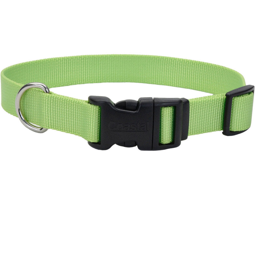 Lime, 1ea/1 In X 18-26 in