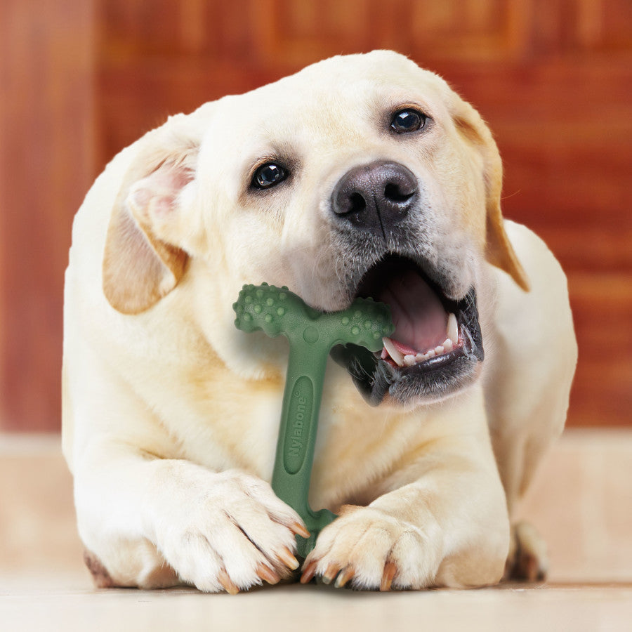 Easy Hold Bone, Bacon, 1ea/Large/Giant (1 ct)