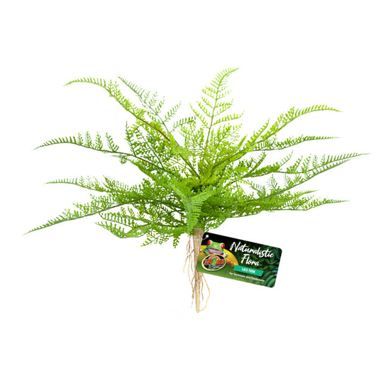 Green, Tan, 1ea