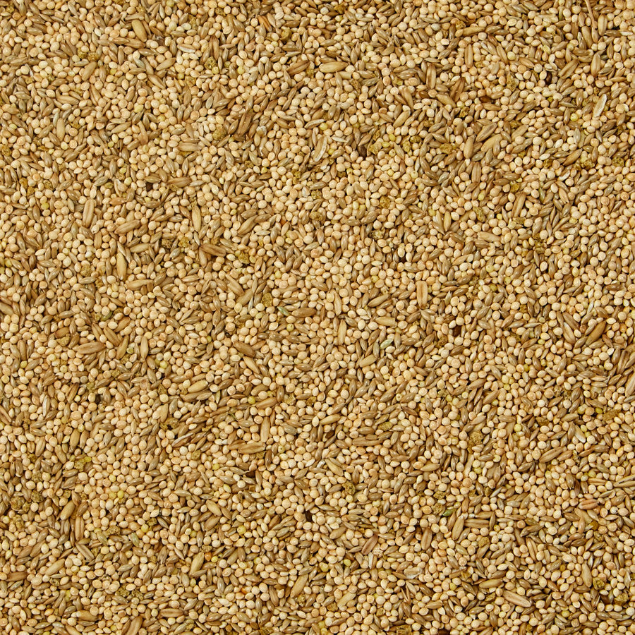 1ea/5 lb