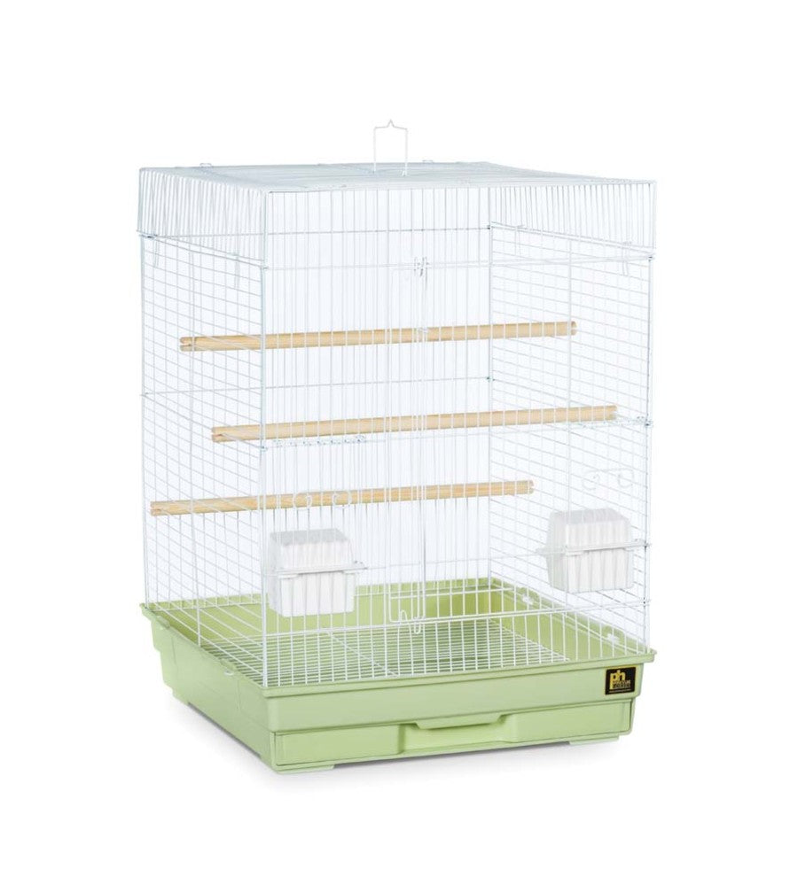 White/Light Green, White/Periwinkle, White, White/Yellow, 4ea/4 pk