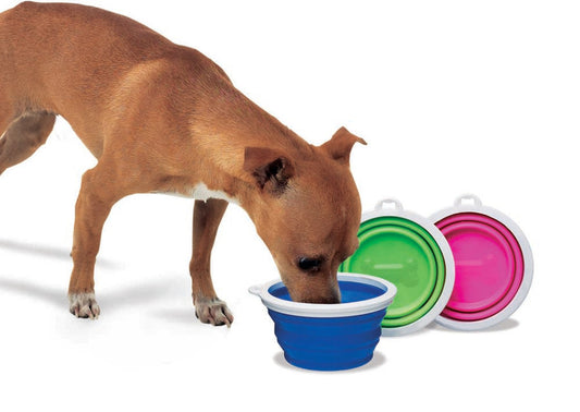 Assorted, 1ea/1 Cup