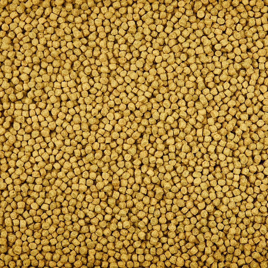1ea/3 lb