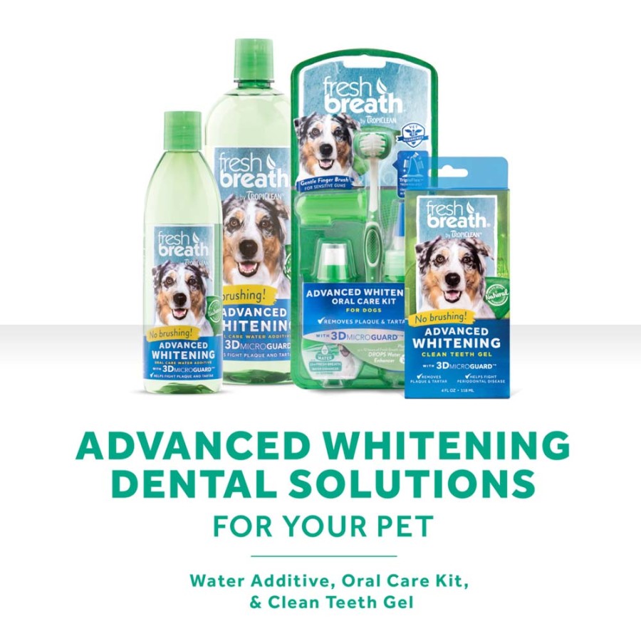 1ea/16 fl oz